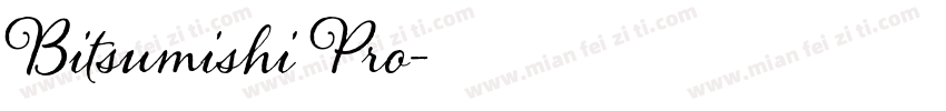 Bitsumishi Pro字体转换